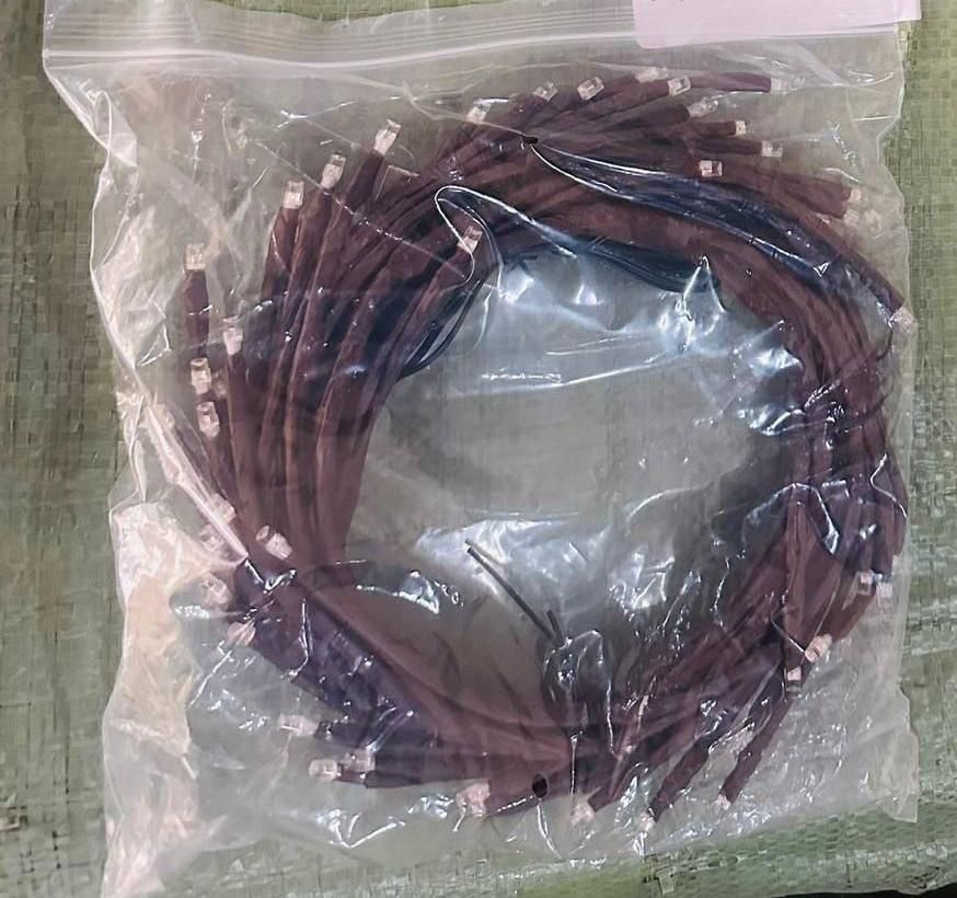 Tree Branch LED Lights – Flexible Decorative Willow Vine